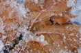 /album/photogallery/a054-watermarked-jpg/